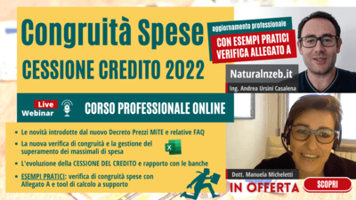 Verifica congruita spese Allegato A