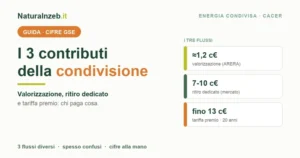 I tre contributi dell'energia condivisa: valorizzazione ARERA, ritiro dedicato e tariffa premio