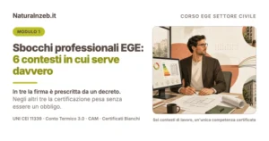 Professionista EGE alla scrivania collegato ai sei contesti di lavoro del settore civile