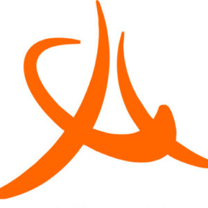 Foto profilo di Michele Castiglione Minischetti